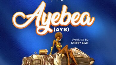 Prof Dee – Ayebea (Prod. By Sperry Beat)